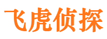 浔阳市侦探公司